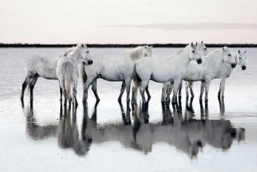 Jorge Llovet - Calm Waters  