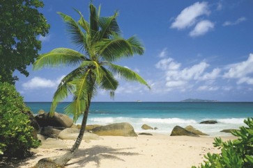 Beach Landscape  