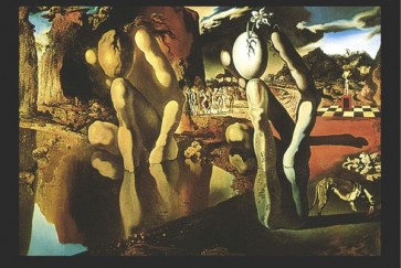 Salvador Dali Metamorphosis Of Narcissus Poem  
