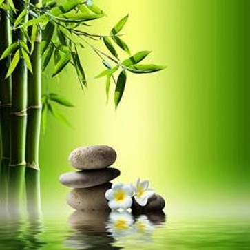 Bamboo and Stones on Water 