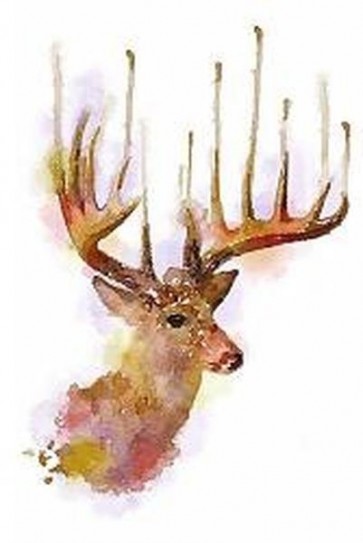 Moose 