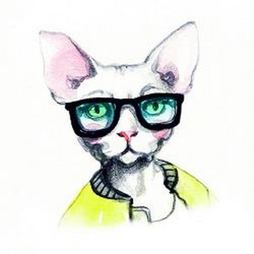 Fashion Cat 