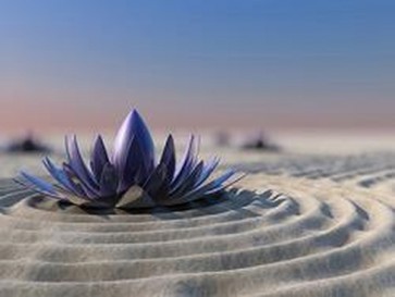 Zen Garden II 