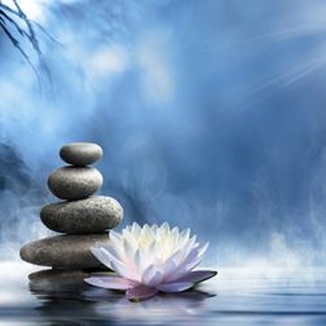 Purity Of The Zen Message 