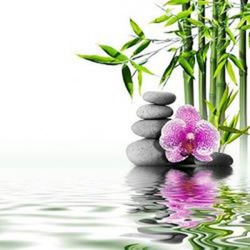 Purple Orchid and Bamboo 