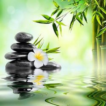 Garden With Frangipani and Stones 