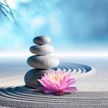 Lily and Spa Stones in Zen Garden 