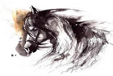 Horse Traveling 
