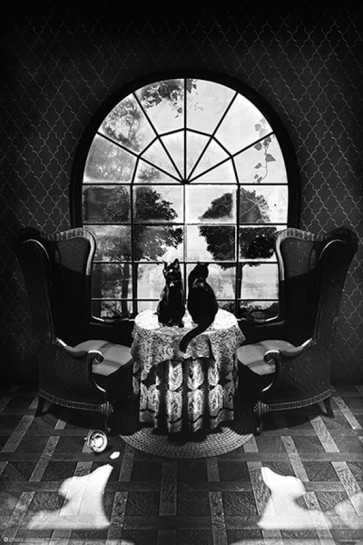 Ali Güleç = Room Skull