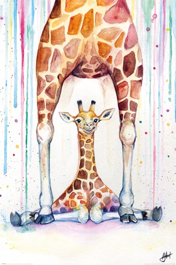 Marc Allante - Gorgeous Giraffes