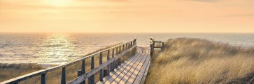 Luis Bond - Path to the Beach - Sea Oats