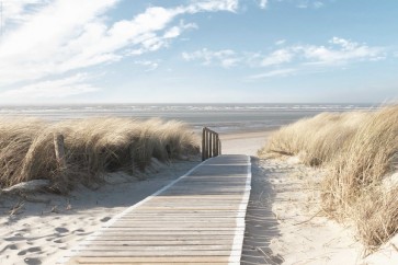 Beach - Pathway