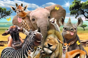 African Savanna - Selfie