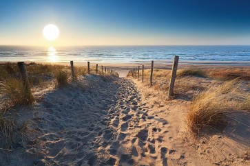 Beach - Dune Path
