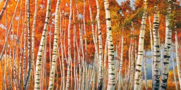 Adriano Galasso - Betulle d autunno