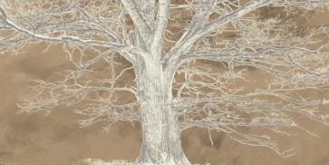 Alessio Aprile - White Oak