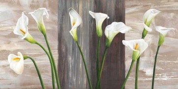 Jenny Thomlinson - Country Callas