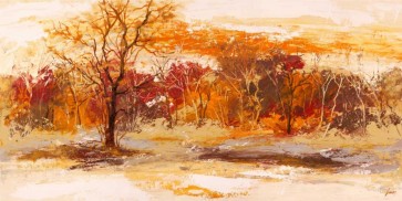 Lucas - Foresta II
