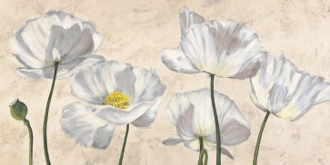 Villa Luca - Poppies in White