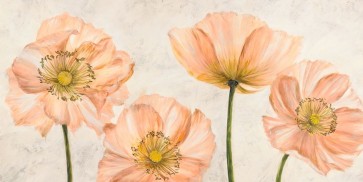 Villa Luca - Poppies in Pink