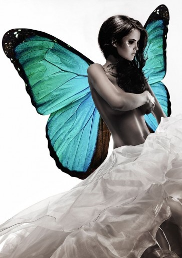 Julian Lauren - Winged Beauty -1 (detail)