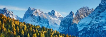 Frank Krahmer - Larch forest and Cima bel Pra, Italy
