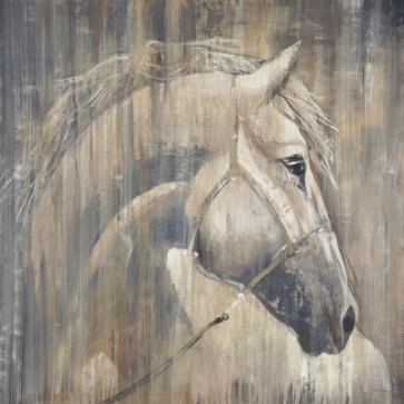 Liz Jardine - His Majesty 