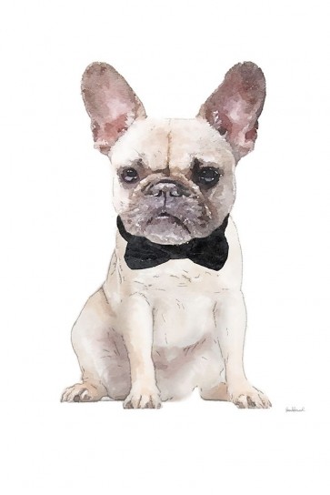Amanda Greenwood - Frenchie II
