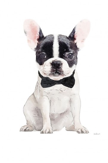 Amanda Greenwood - Frenchie V
