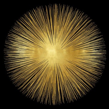 Abby Young - Sunburst on Black I