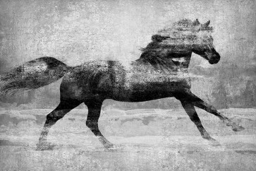 Madeline Blake - Running Horse Silver