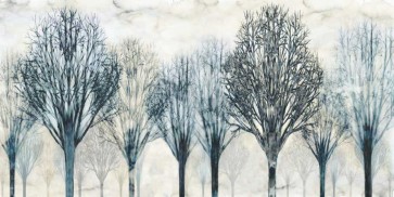 Chris Donovan - The Grove