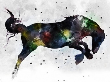 Chamira Young - Horse Attitude