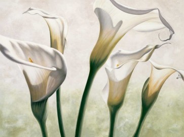 Eva Barberini - Luce