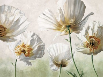 Eva Barberini - Raggi di sole