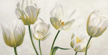 Eva Barberini - Soffio di luce