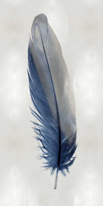 Julia Bosco - Blue Feather on Silver I