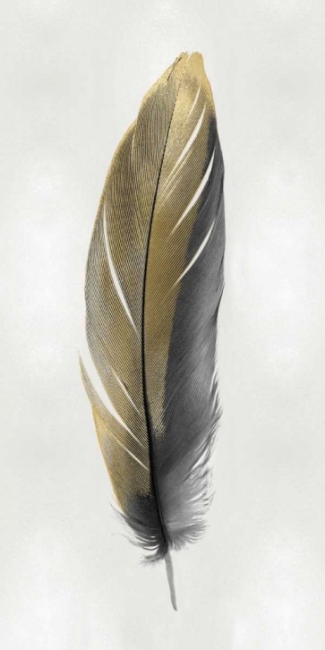 Julia Bosco - Gold Feather on Silver II