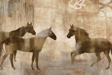 Jason Mann - Horse Sense