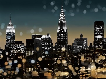 Kate Carrigan - New York I