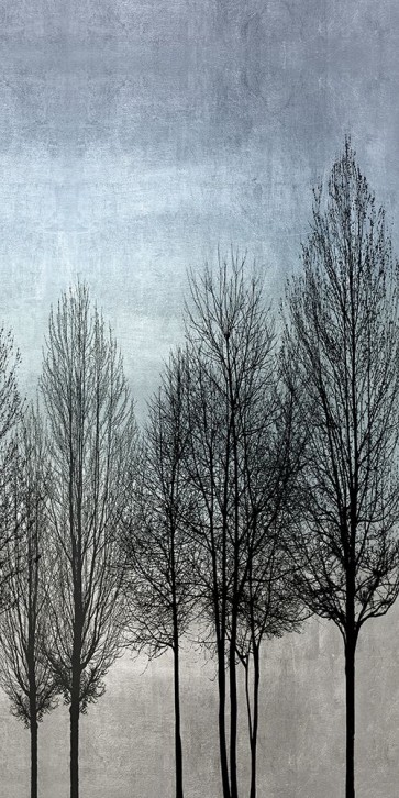 Kate Bennett - Tree Silhouette III