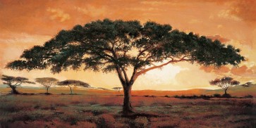 Madou - Memories of Masai Mara