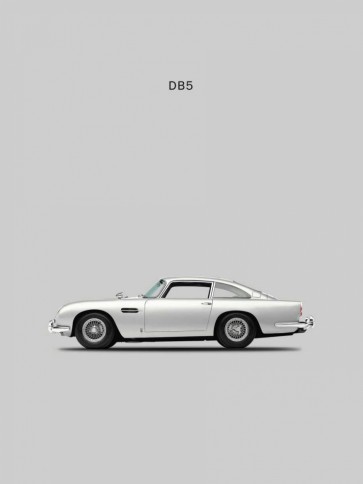 Mark Rogan - Aston DB5 1965