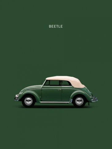 Mark Rogan - VW Beetle Green 53