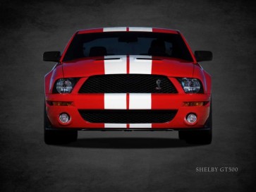 Mark Rogan - Ford Shelby GT500