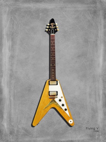 Mark Rogan - Gibson FlyingV 58