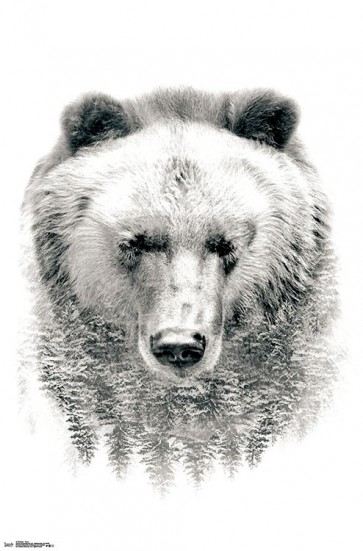 Spirit Animals & Trees - Bear