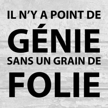 Il n'y a point de génie