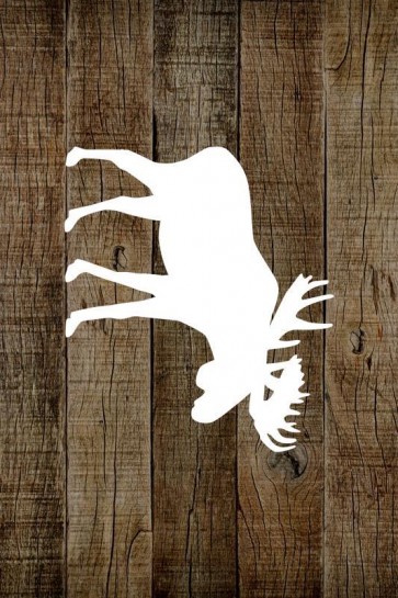 BBR - Moose