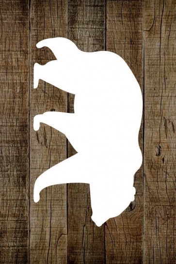 BBR - Bear
